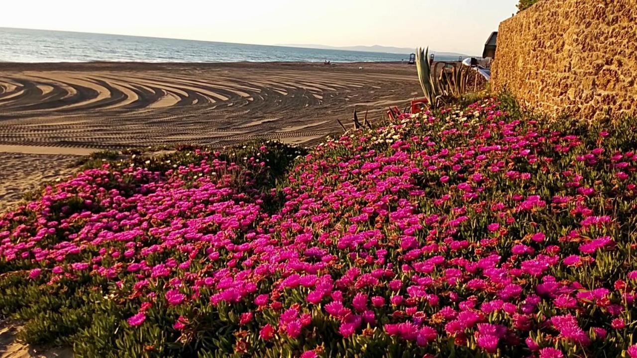 Hotel Lupo Di Mare Marina di Castagneto Carducci Bagian luar foto